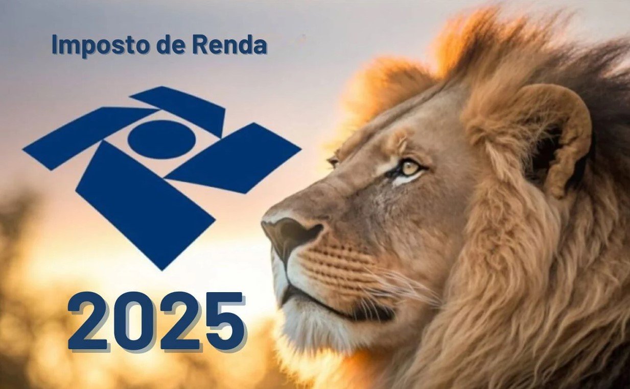 Guia Completo e Prático: Como Fazer a Declaração do Imposto de Renda 2025 no Brasil (Passo a Passo)